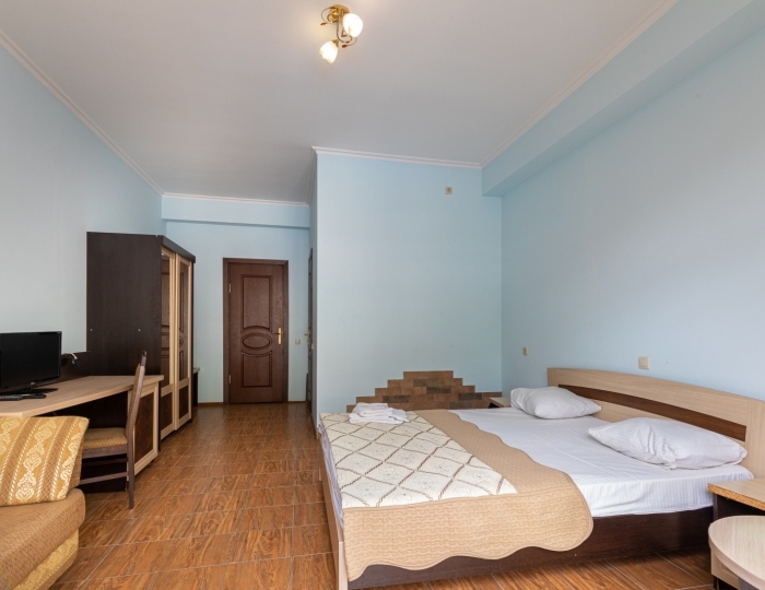 Стандарт 2-местный 1-комнатный вид на горы - Гостиница «Арстаа» Гагра